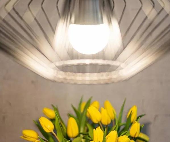 Lägenhet Baltiq Plaza - Billberry